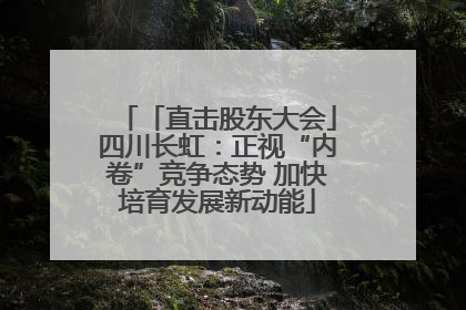 「直击股东大会」四川长虹：正视“内卷”竞争态势 加快培育发展新动能